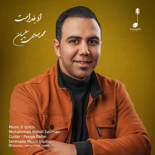 محمد مهدی سلیمیان او بلد است